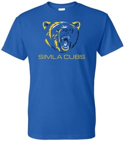 T-Shirt Under Five Dollars